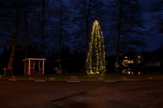 Det är julgransdans nu på söndag - kl 18 :)